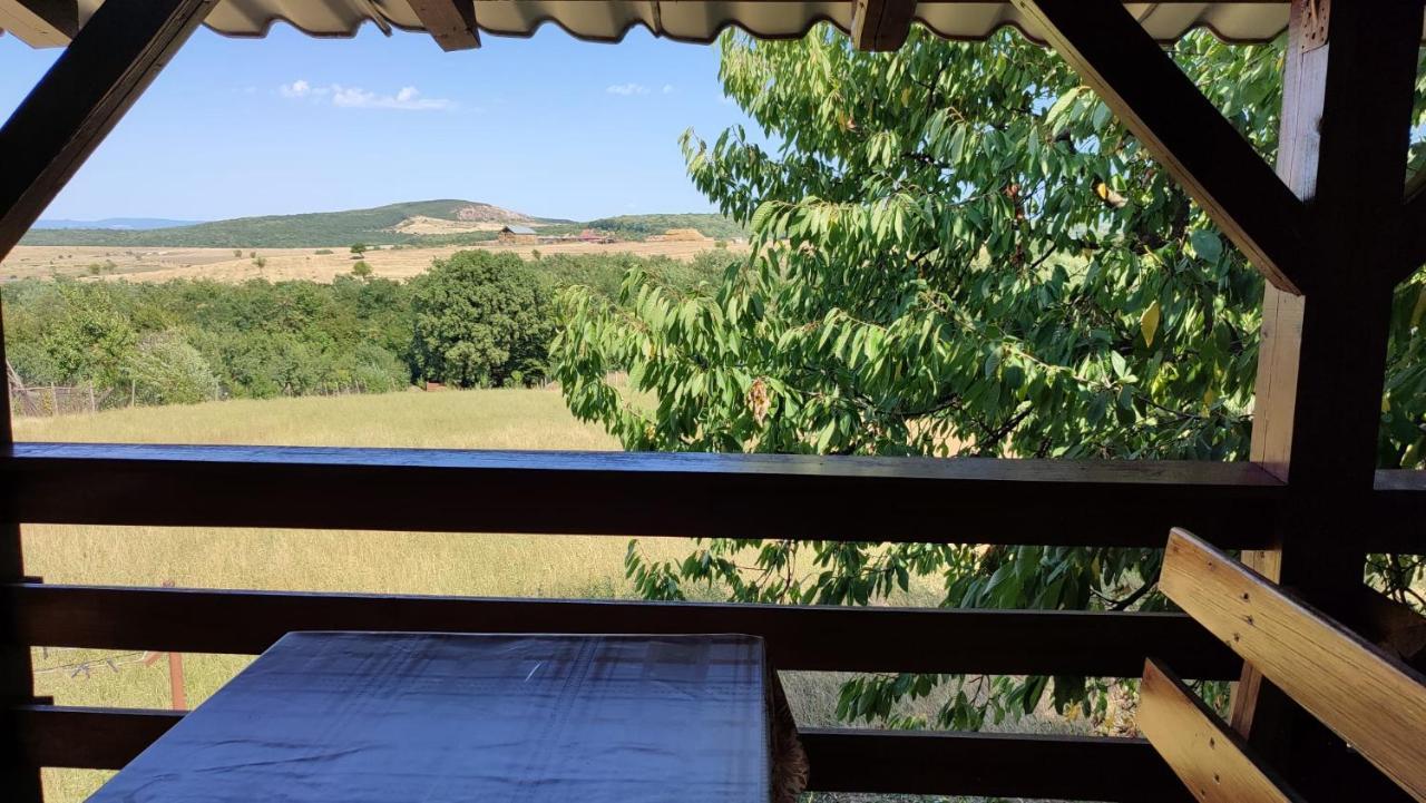ホテル Casa Laur Băile Felix エクステリア 写真