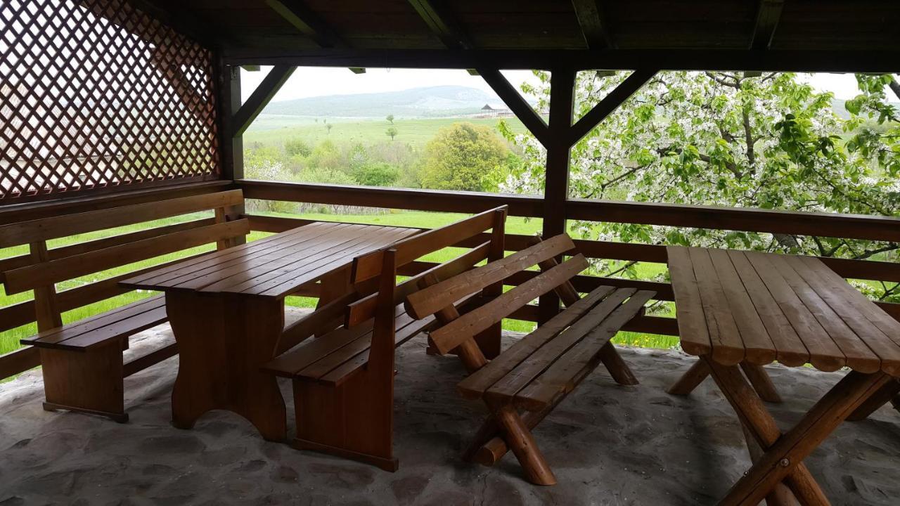 ホテル Casa Laur Băile Felix エクステリア 写真